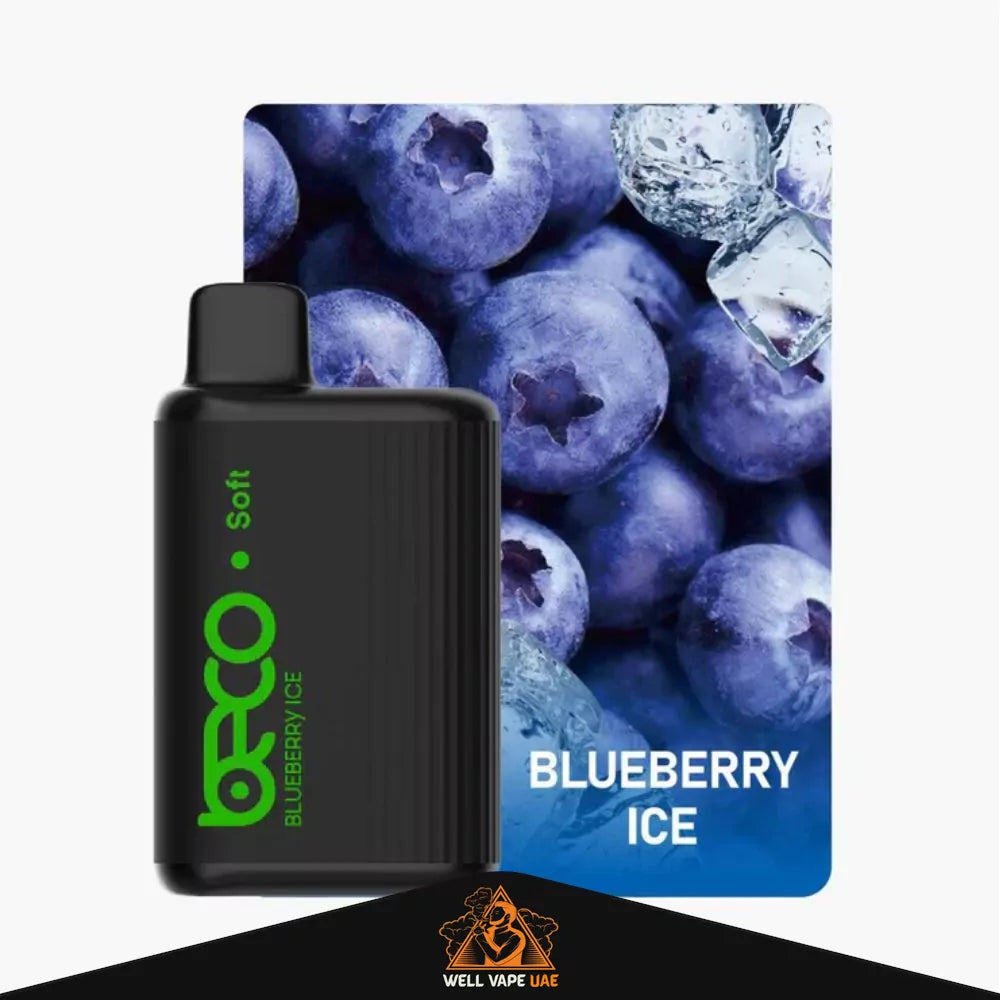 Beco Soft 6000 Puffs Blueberry Ice