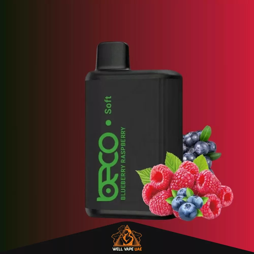 Beco Soft 6000 Puffs Blueberry Raspberry
