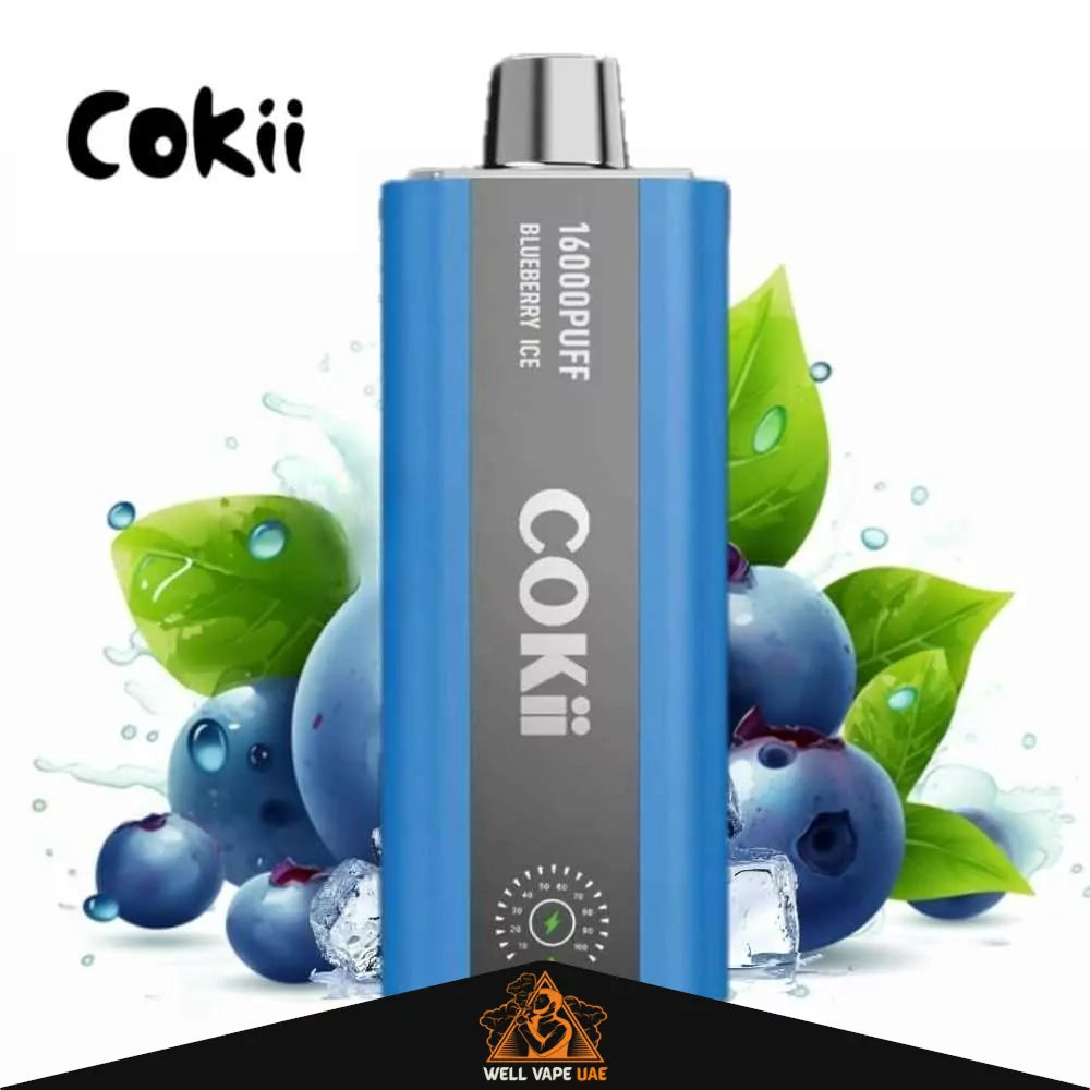 Cokii 16000 Puffs Zero Nicotine Blueberry Ice