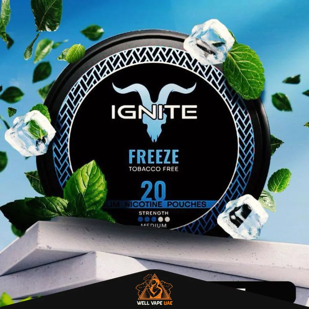 IGNITE Nicotine Pouches Freeze 12 mg