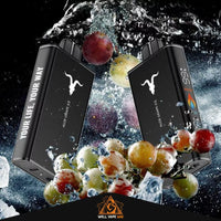 Ignite V250 25000 Puffs Aloe Grape Ice