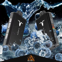 Ignite V250 25000 Puffs Blueberry Ice