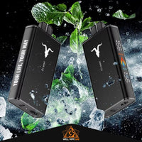 Ignite V250 25000 Puffs Icy Mint