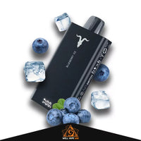 Ignite v150 15000 puffs Blueberry Ice