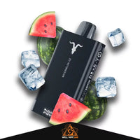 Ignite v150 15000 puffs Watermelon Ice