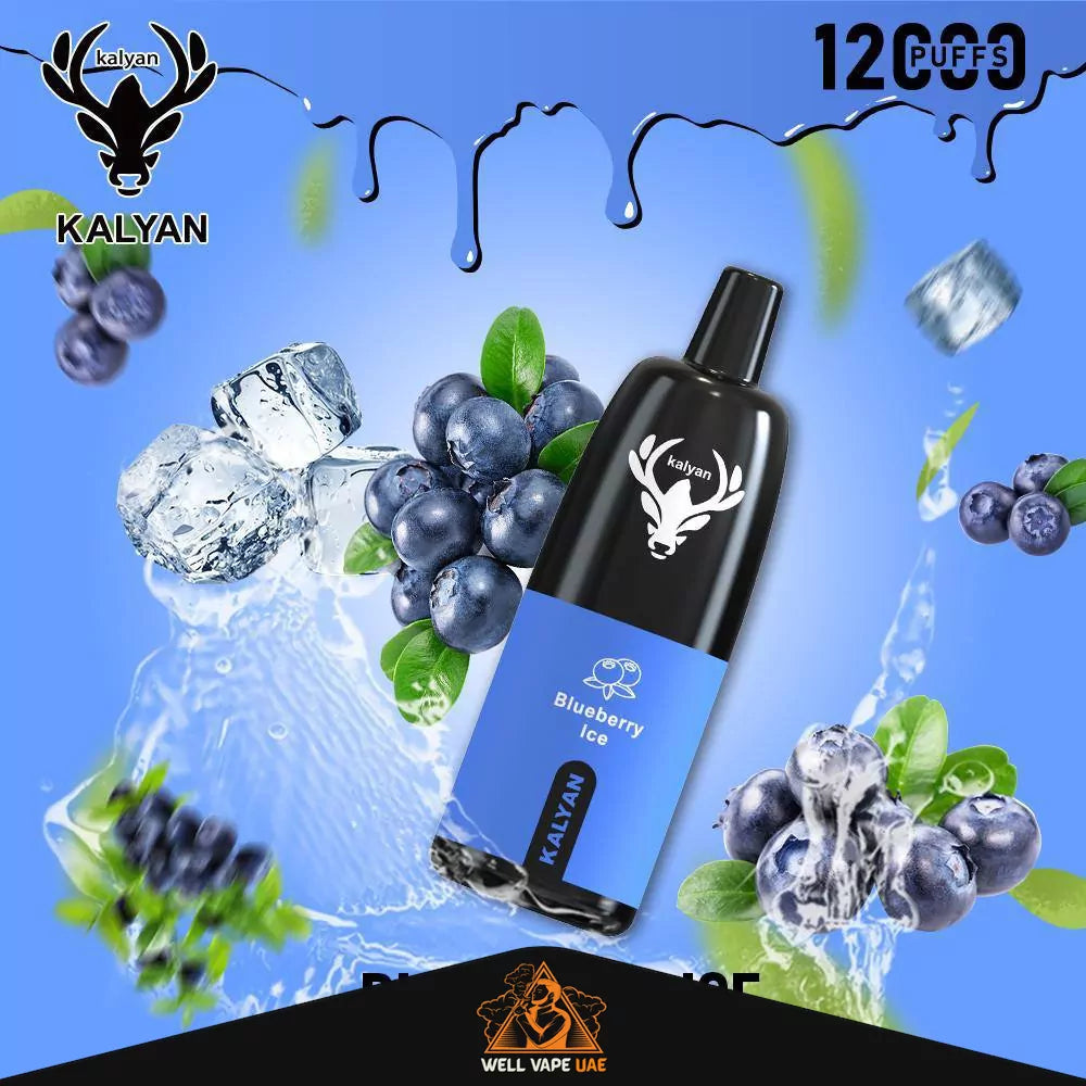 Kalyan Pro 12000 Puffs Blueberry Ice