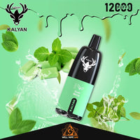 Kalyan Pro 12000 Puffs Gum Mints