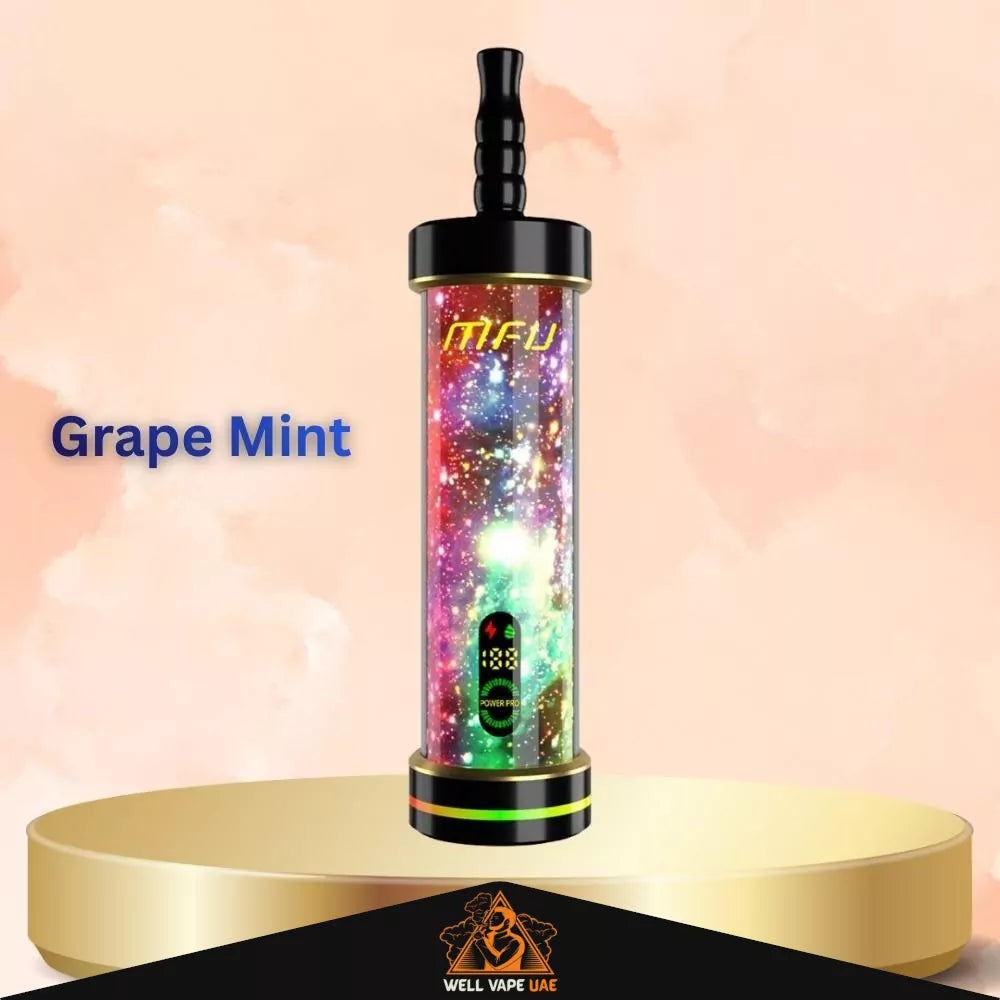MFU Shisha X2 Hookah 60K Puffs Grape Mint