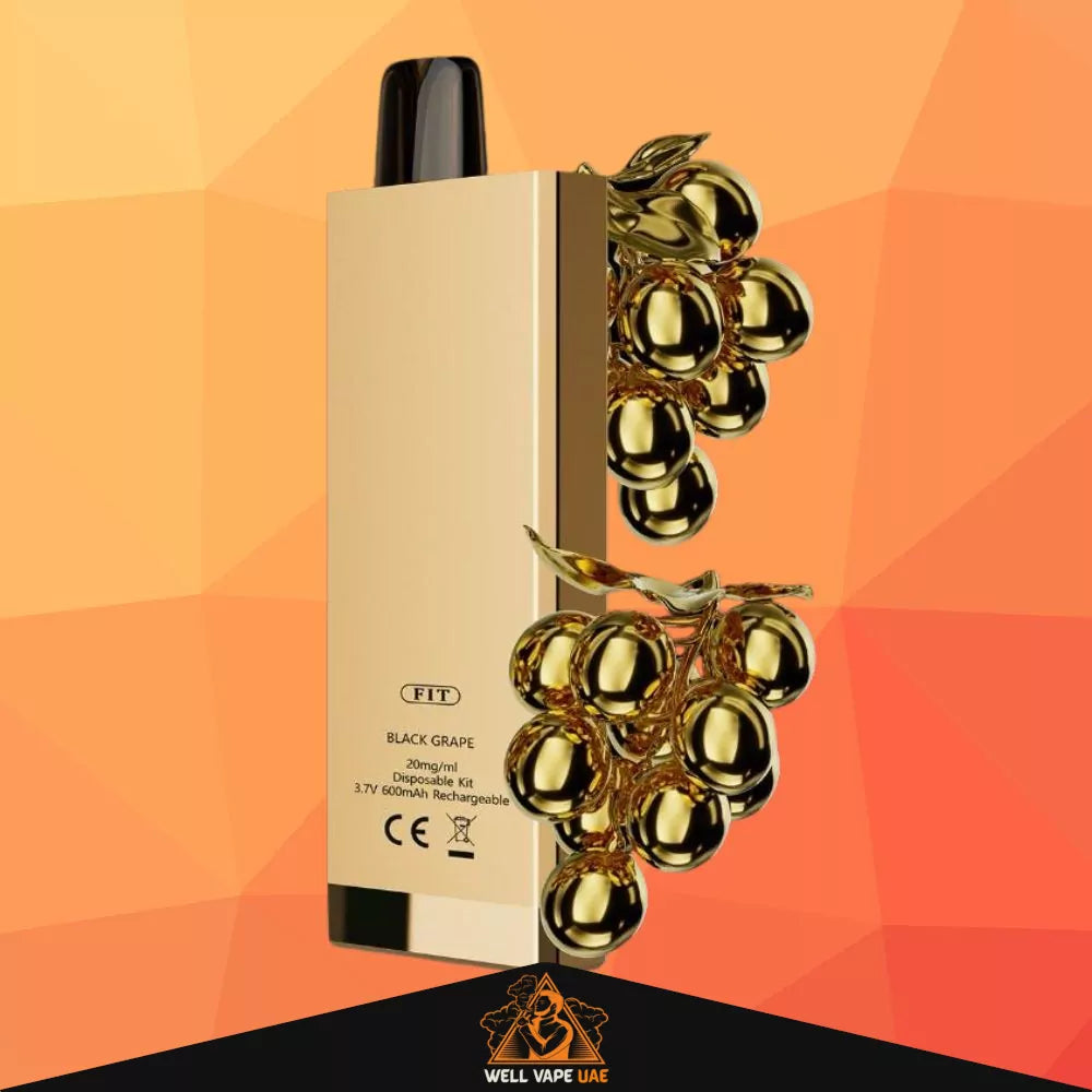 SIKARY FIT 12000 Puffs Black Grape