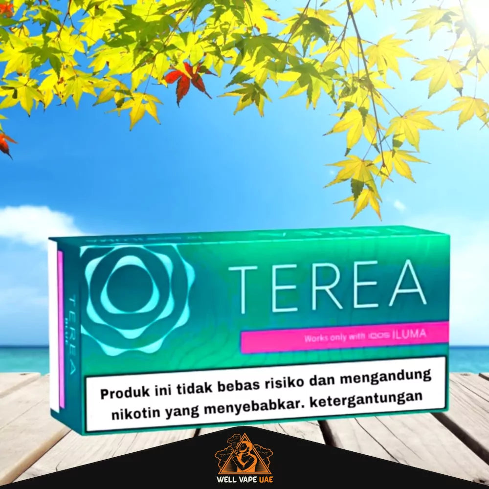 IQOS TEREA Sticks Flavors From Indonesia TEREA Black Green