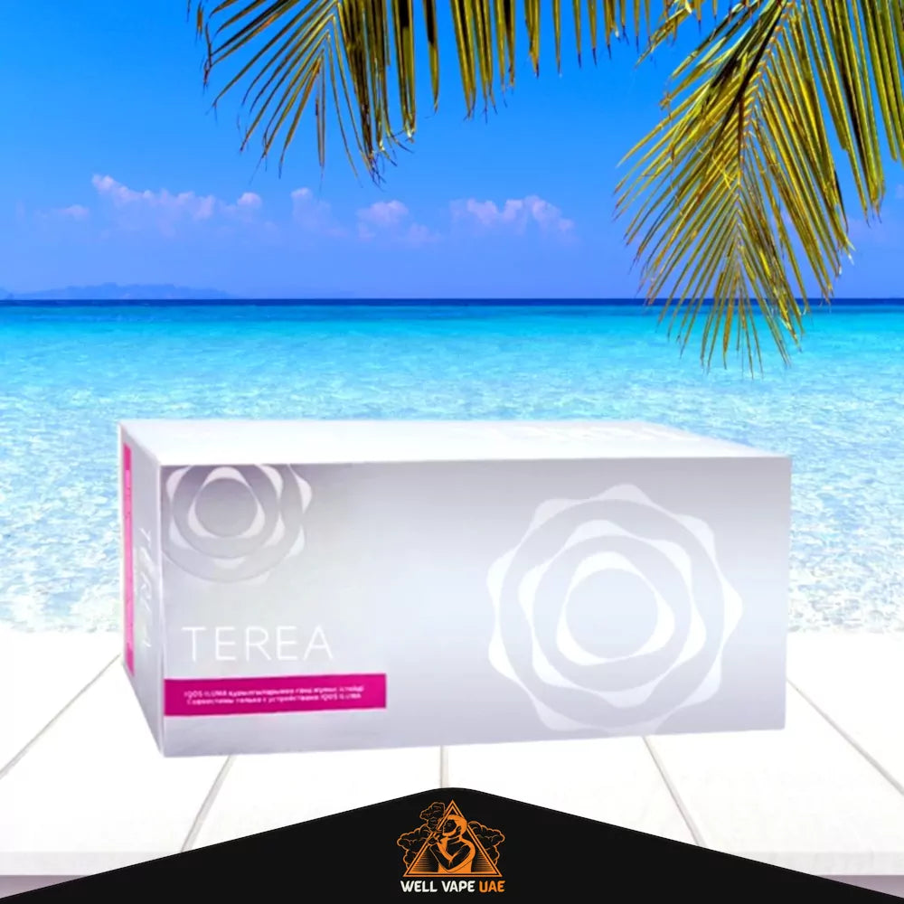 IQOS TEREA Sticks Flavors From Kazakhstan TEREA Silver