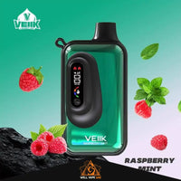 VEIIK Space VKK 20000 Puffs Raspberry Mint
