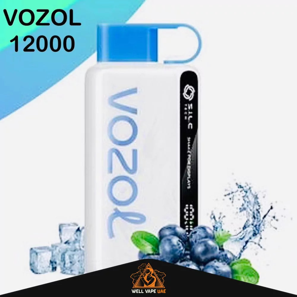 Vozol Star 12000 Puffs Blue Razz Ice