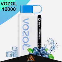 Vozol Star 12000 Puffs Blue Razz Ice