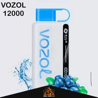 Vozol Star 12000 Puffs Blueberry Storm