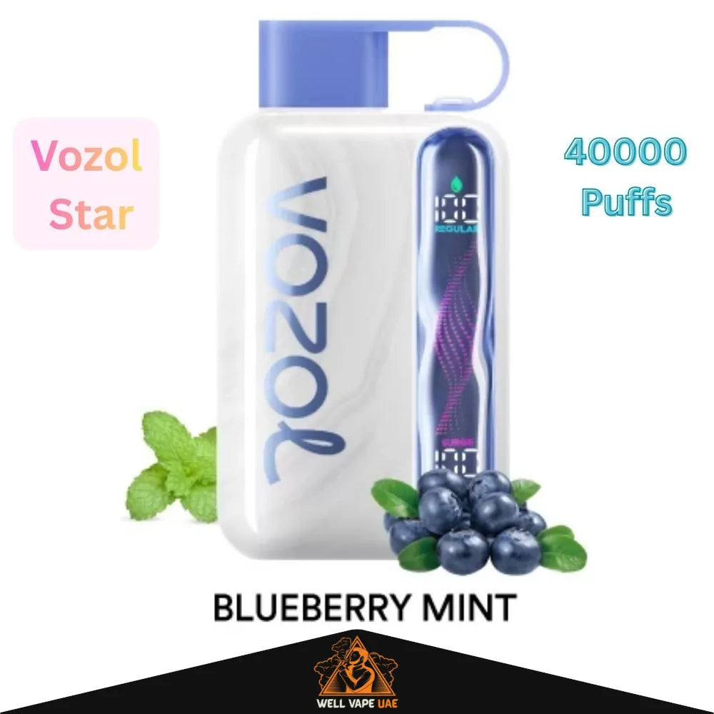 Vozol Star 40000 Puffs Blueberry Mint