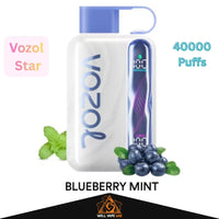 Vozol Star 40000 Puffs Blueberry Mint