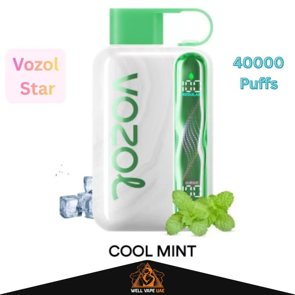 Vozol Star 40000 Puffs Cool Mint