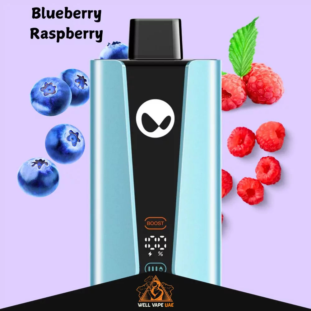Waka SoPro 20000 Puffs Blueberry Raspberry